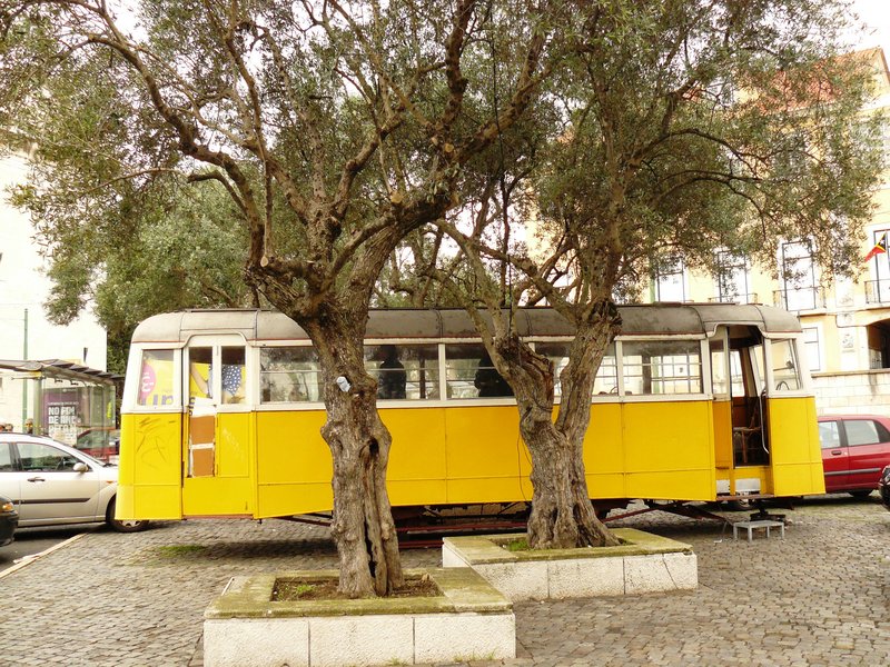 P1030725.JPG