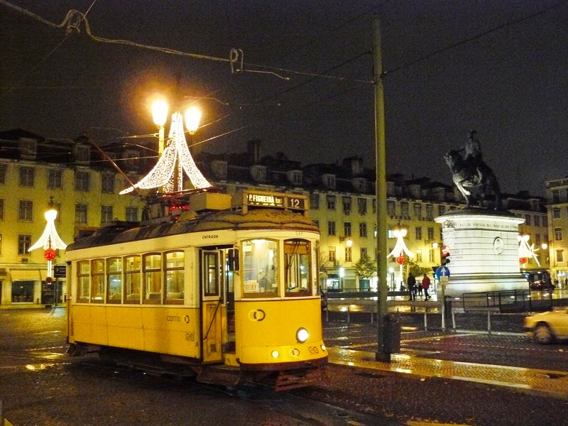 P1030884.JPG