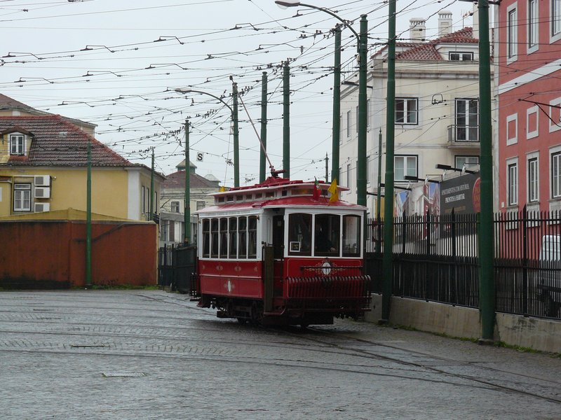 P1030896.JPG