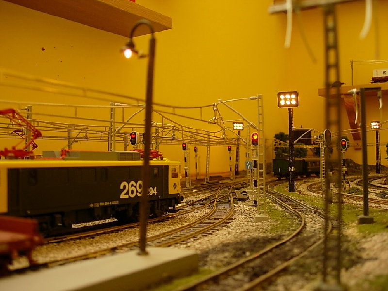 DSCN3687.JPG