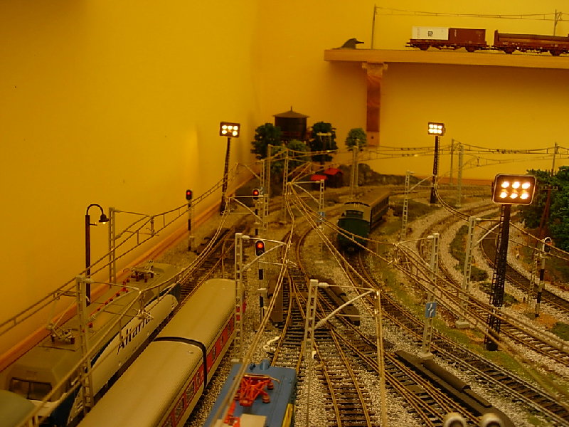 DSCN3695.JPG