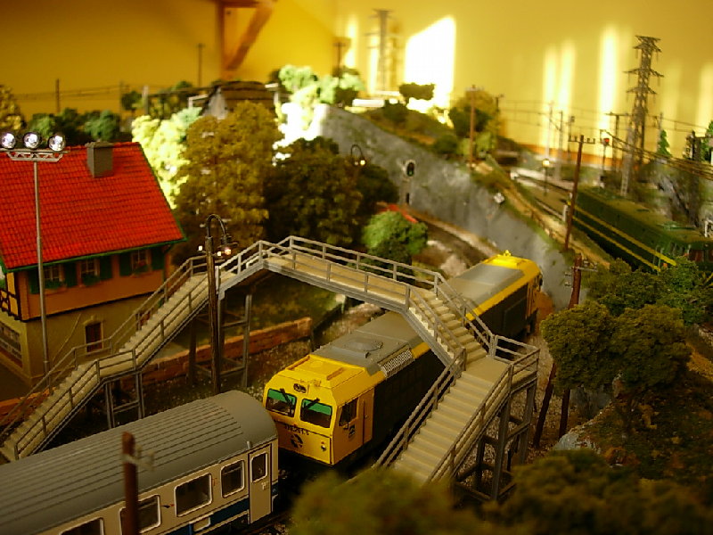 DSCN3690.JPG