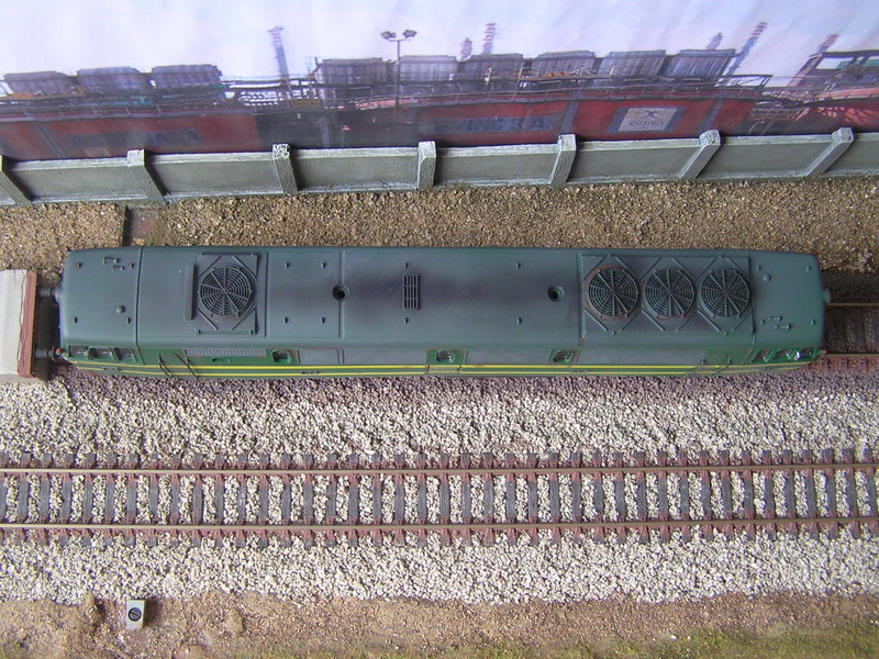 P1010433.JPG