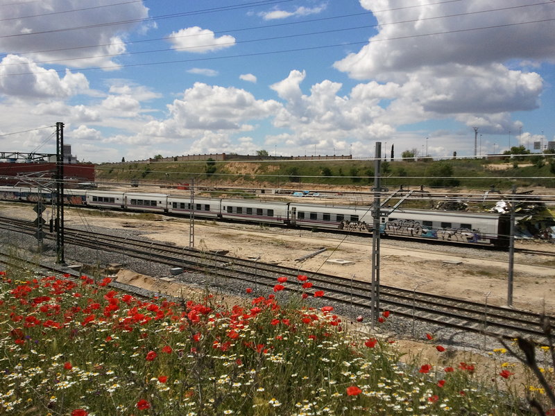 2011-04-25 13.35.51.jpg