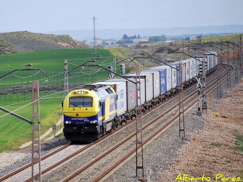 CSC_0436.jpg