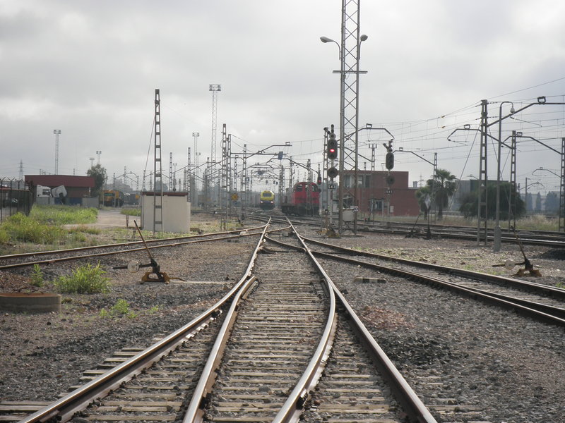 P4251630.JPG
