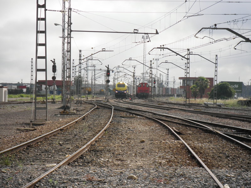 P4251631.JPG