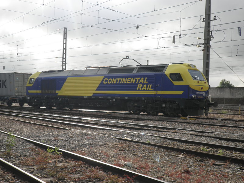 P4251636.JPG