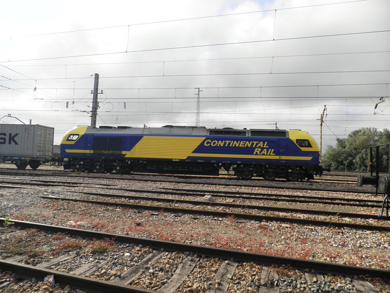 P4251637.JPG