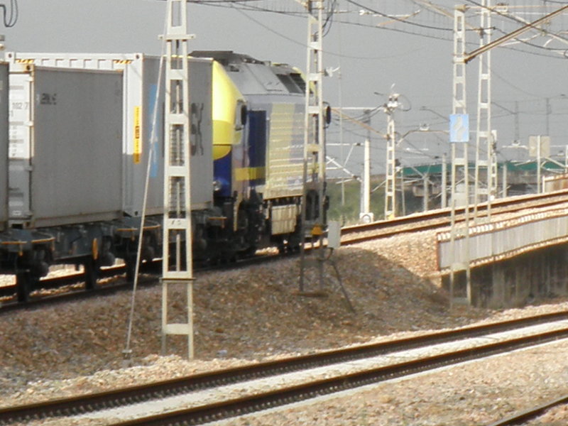 P4251638.JPG
