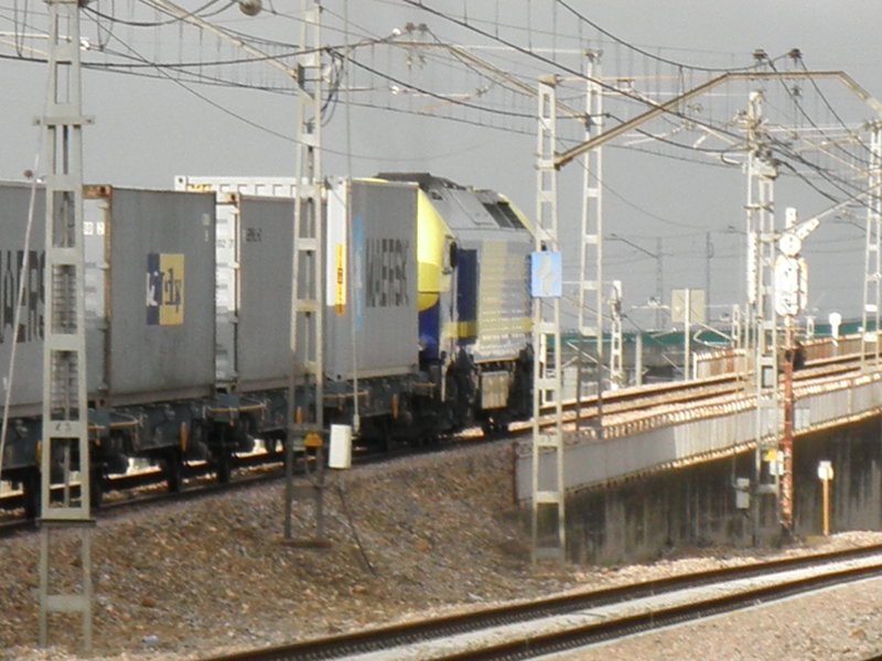 P4251639.JPG