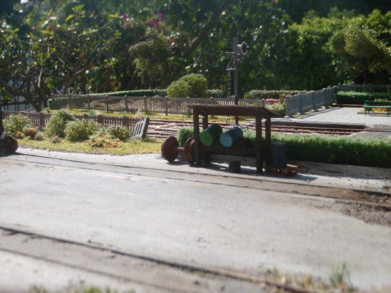 P4193800.JPG