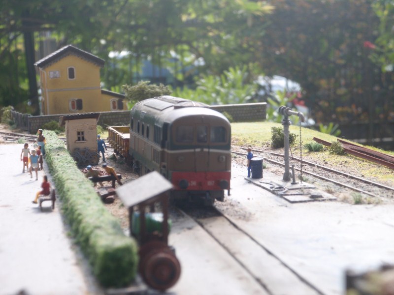 P4193829.JPG