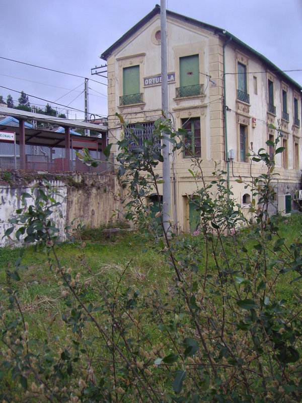 P4240232.JPG