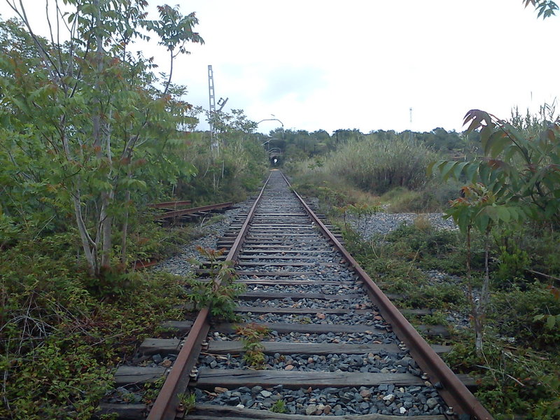 DSC00110.jpg