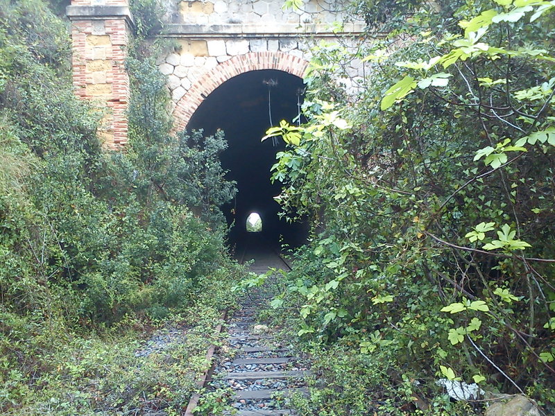 DSC00113.jpg