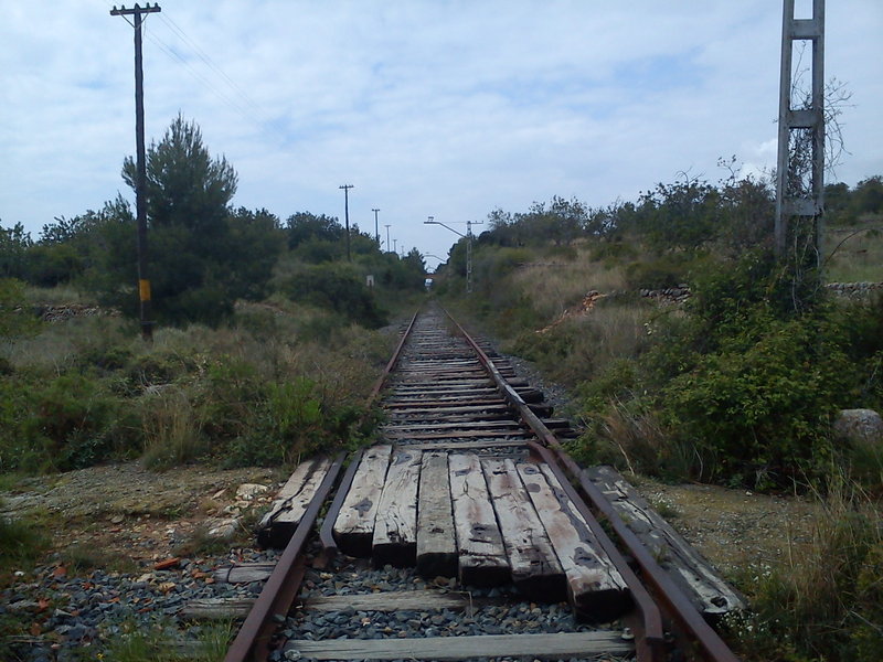 DSC00126.jpg