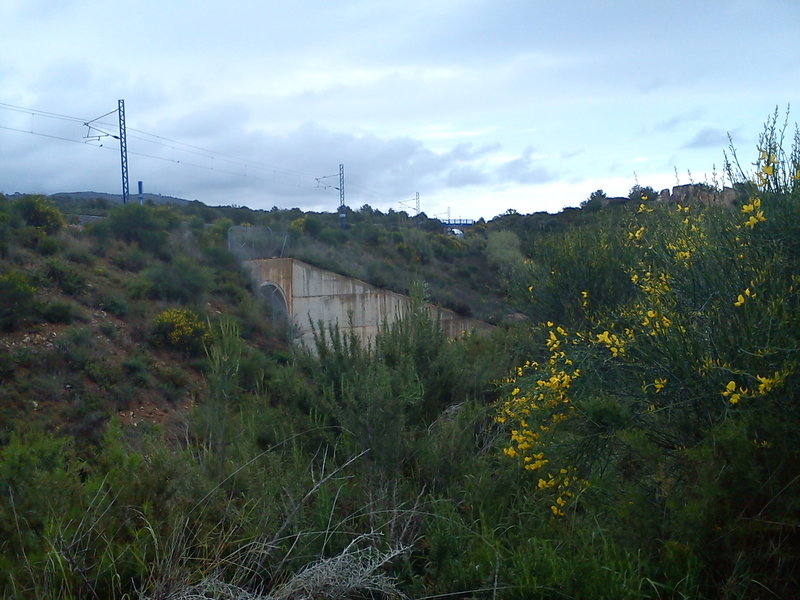 DSC00121.jpg