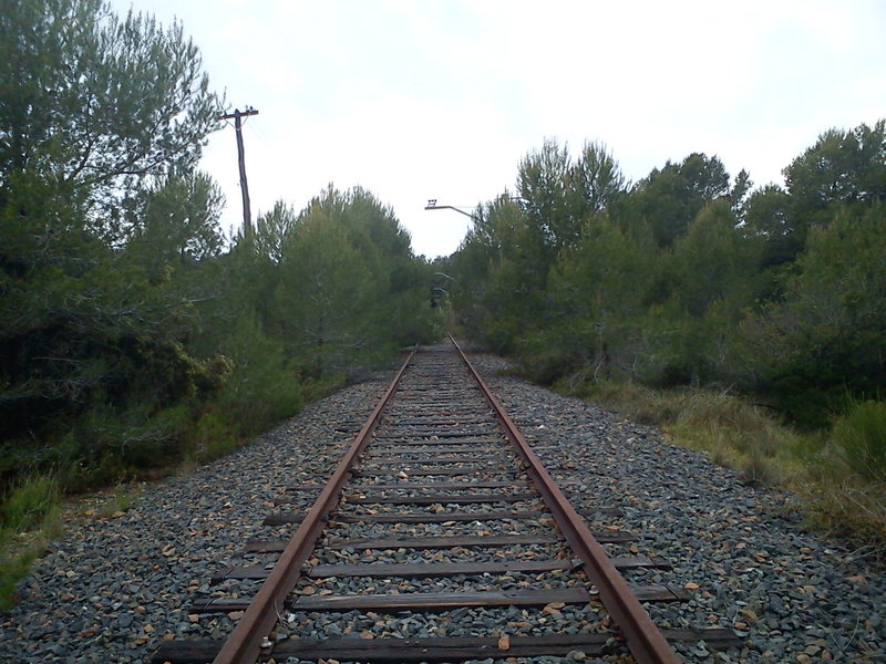 DSC00123.jpg