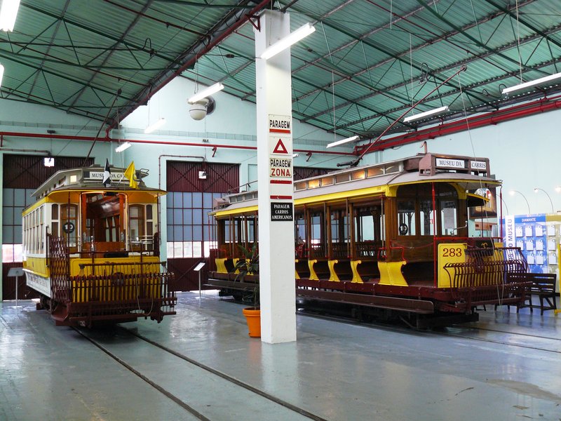 P1030903.JPG