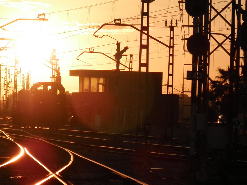 P4281675.JPG