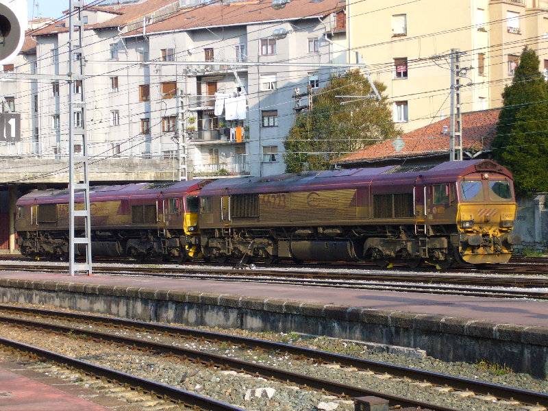 P1010981.JPG