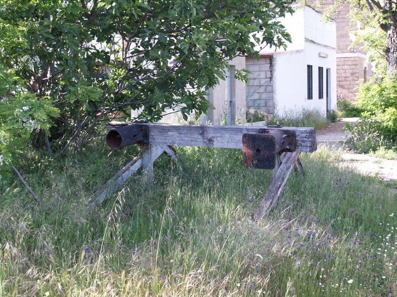 P4271119.JPG
