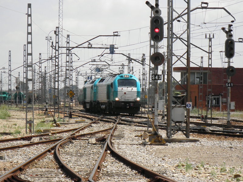 P5031732.JPG