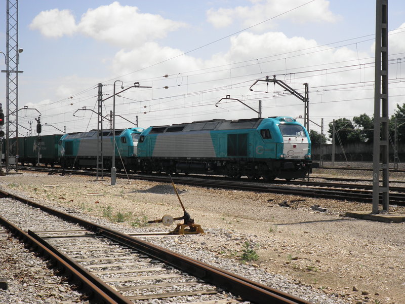 P5031734.JPG