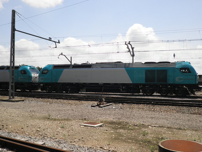 P5031735.JPG