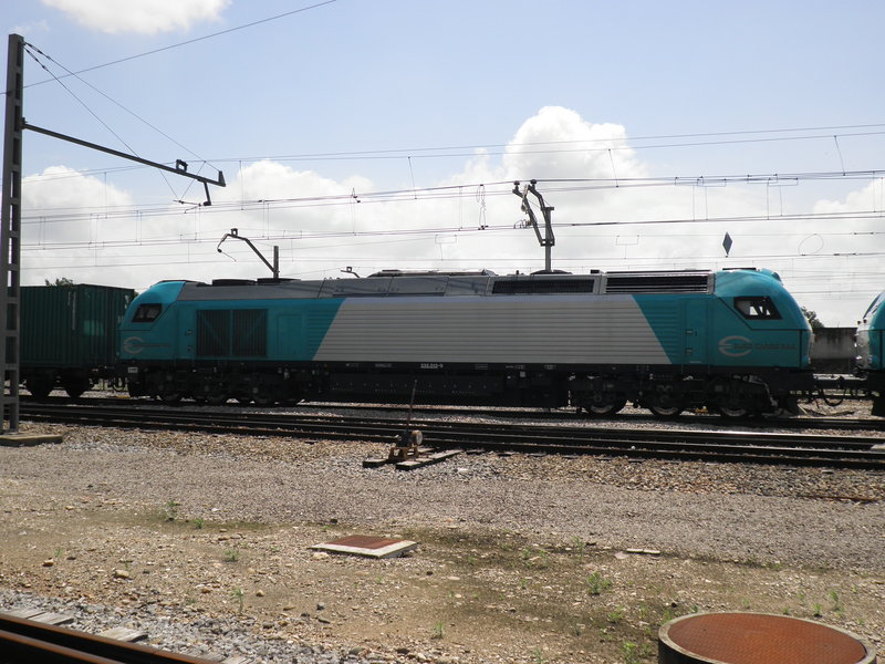 P5031736.JPG