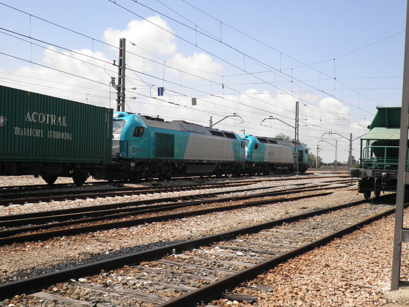 P5031737.JPG