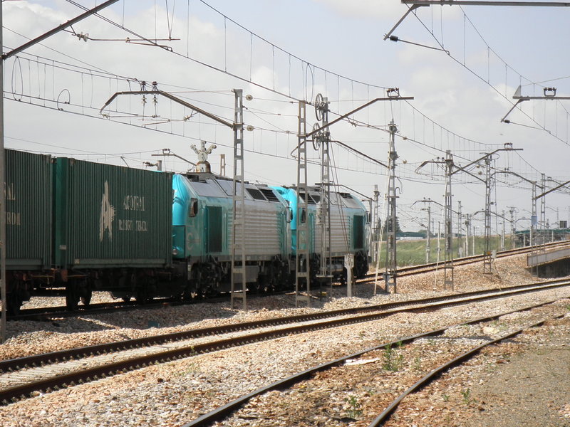 P5031739.JPG