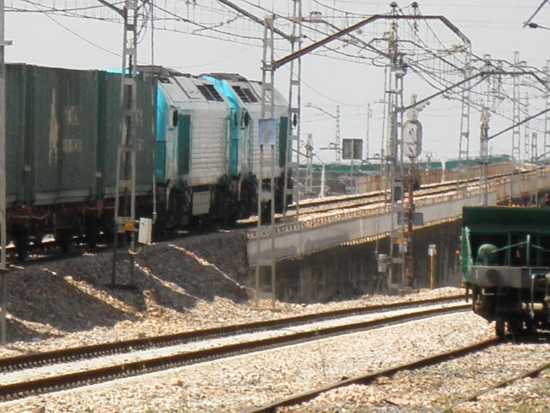 P5031741.JPG