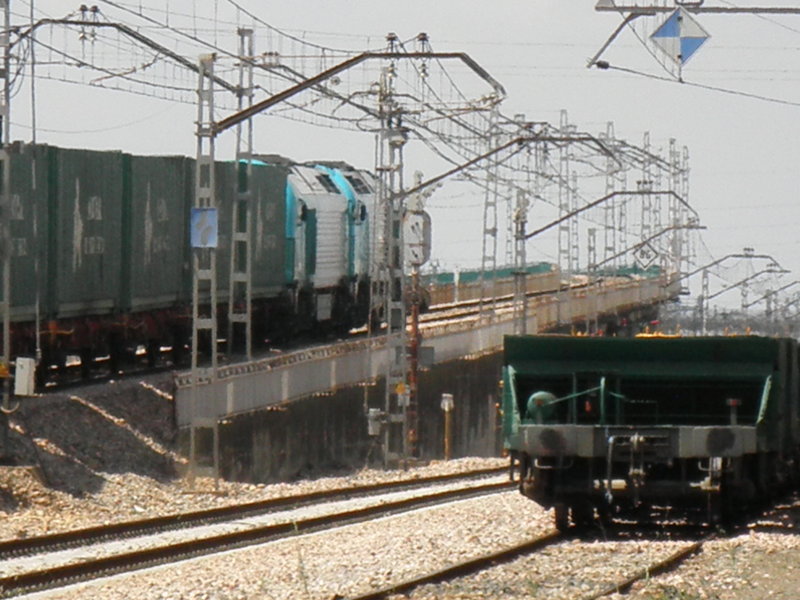 P5031742.JPG