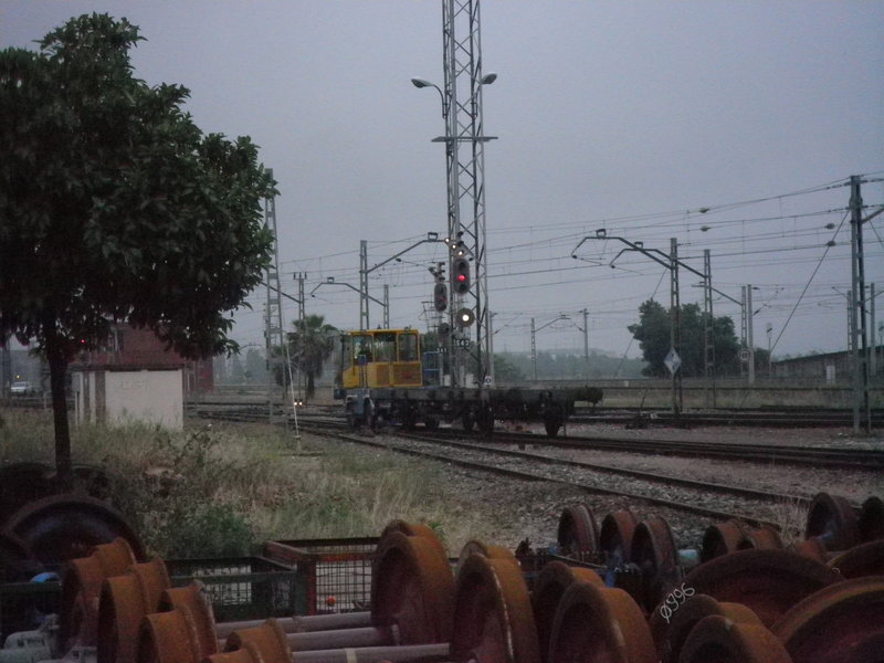 P5031717.JPG