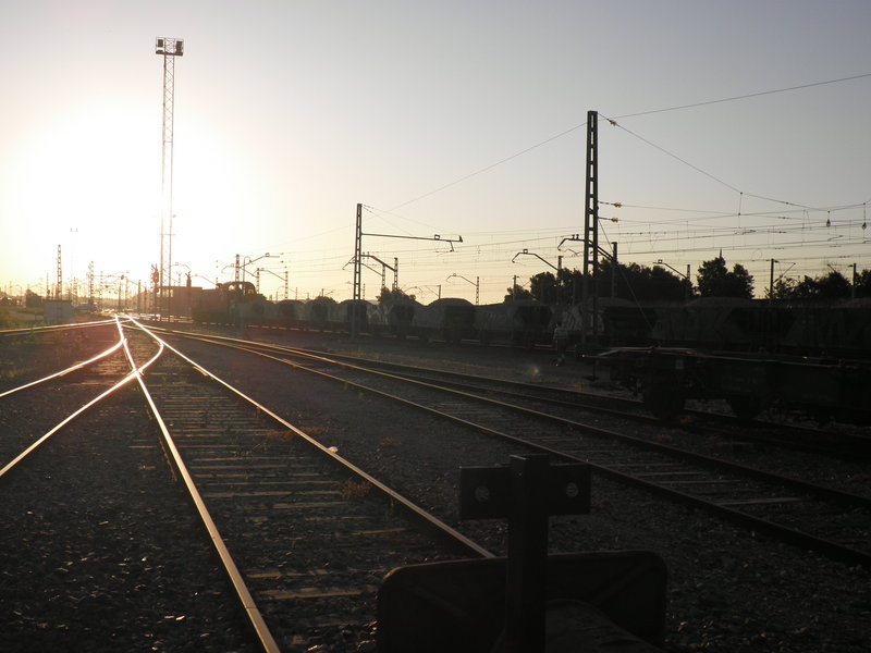 P5091773.JPG