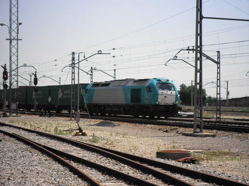 P5101791.JPG