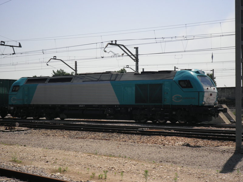 P5101792.JPG
