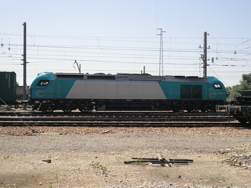 P5101793.JPG