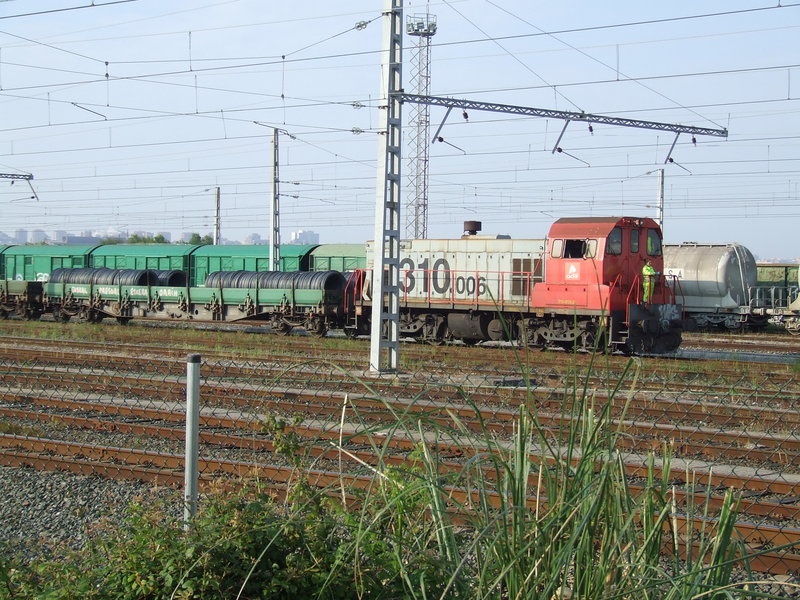 310.006.jpg