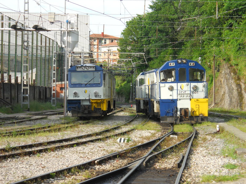 DSCN0730.JPG