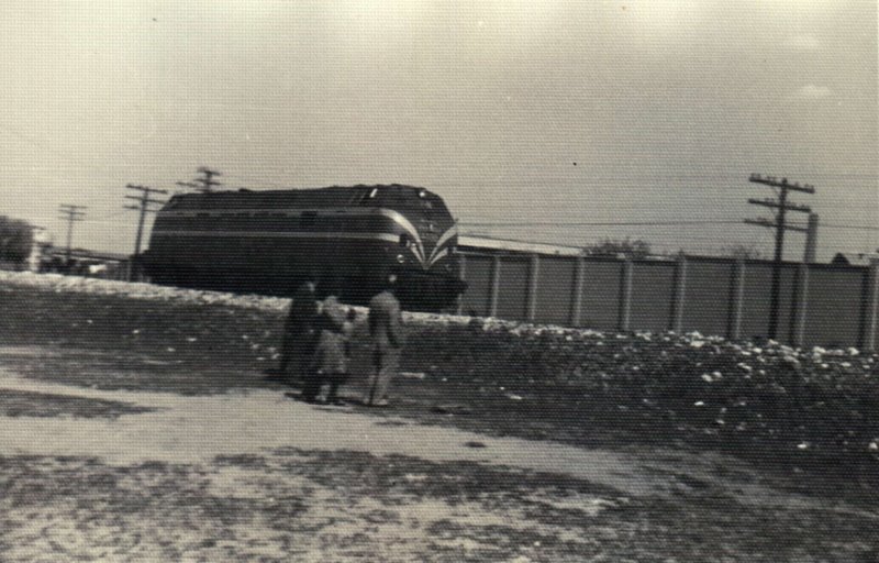 PTDC0003.JPG