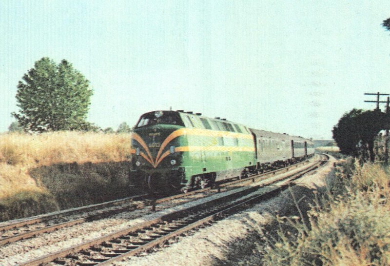 4013.JPG