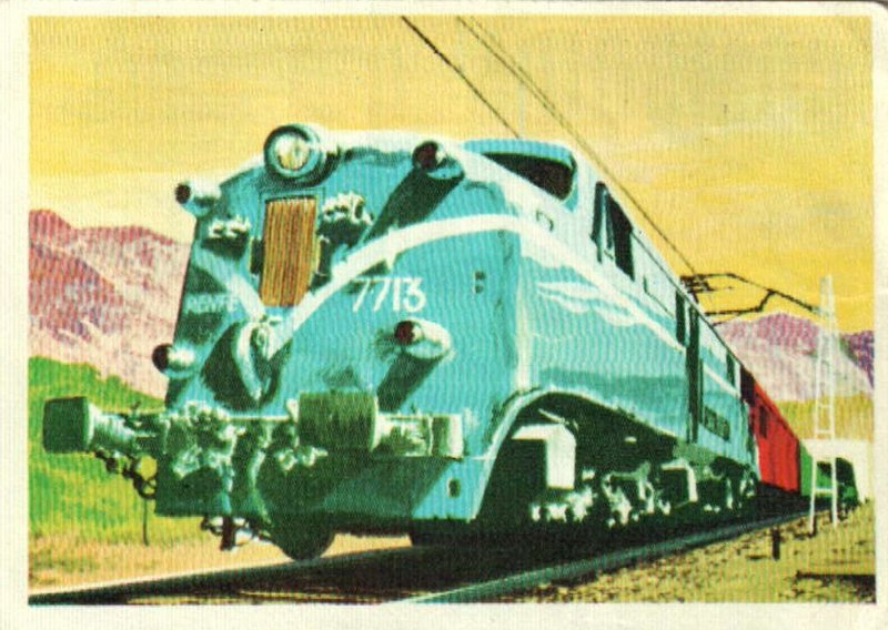 7713.JPG