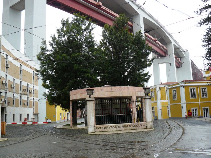P1030911.JPG