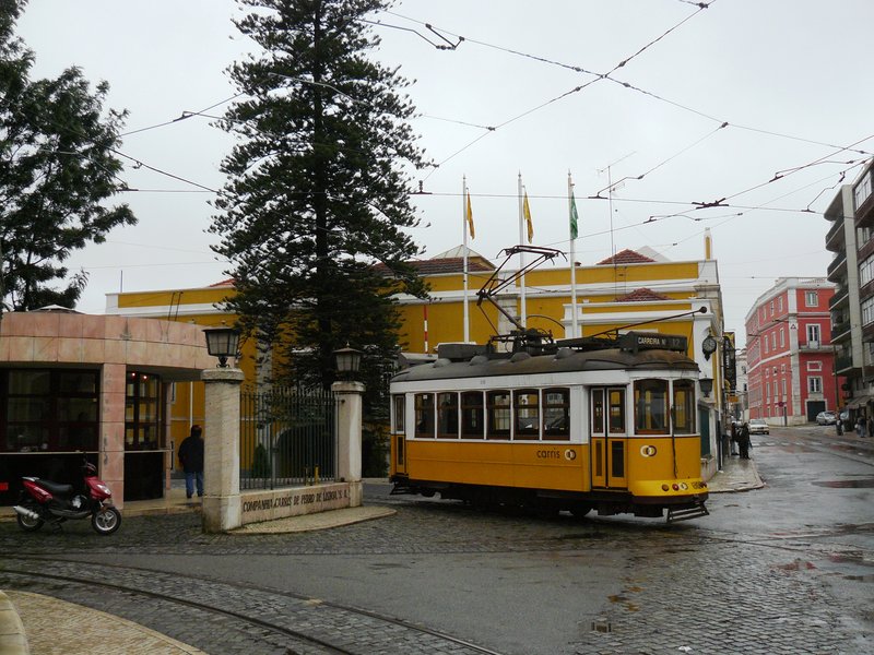 P1030914.JPG