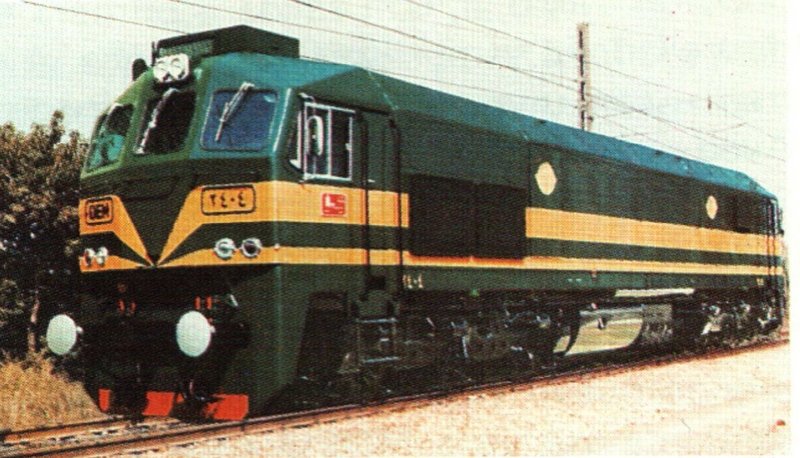 2404 - copia.JPG