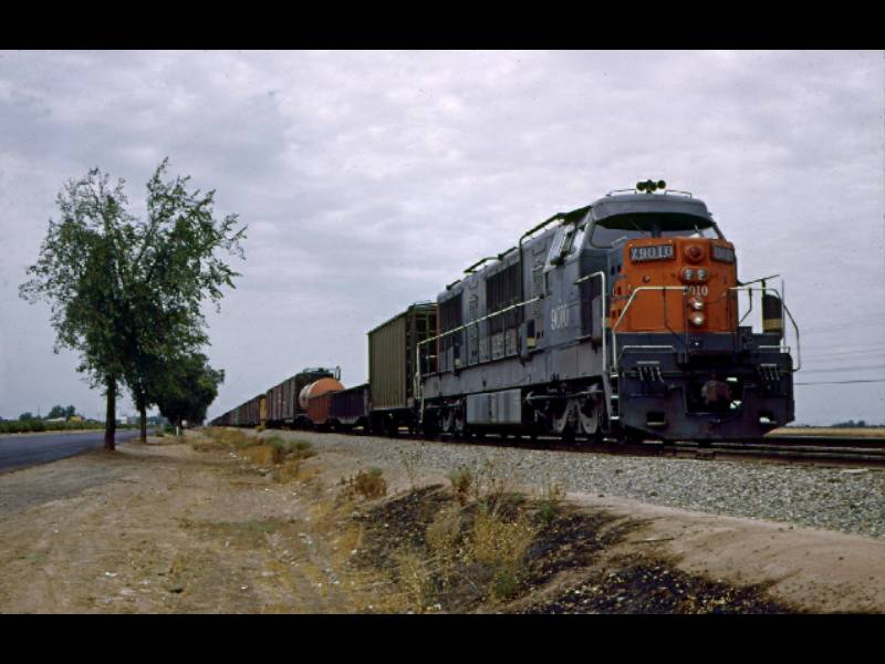 9010jw02.jpg