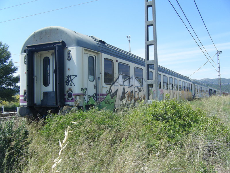 Coche literas entre la maleza..JPG